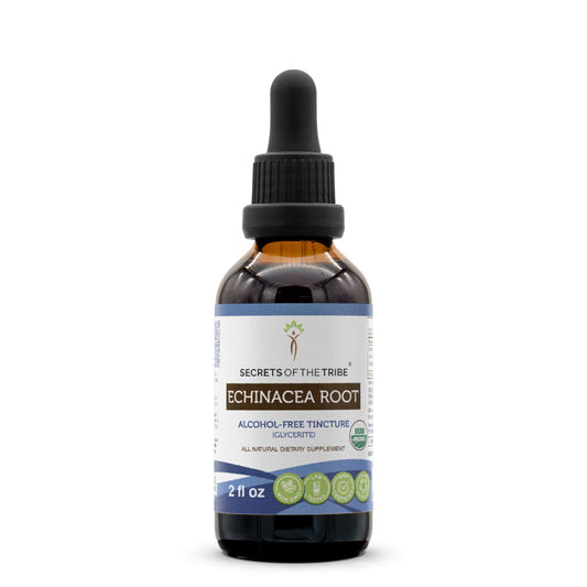 Echinacea Root USDA Organic Tincture | Alcohol-Free Extract, High-Potency Herbal Drops, Immune System Health | Made from 100% Certified Organic Echinacea Root (Echinacea Purpurea) 2 oz