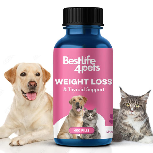 BestLife4Pets Weight & Thyroid Support - Natural Solution for Pet Weight Management, Hunger Control, Metabolism Support & Optimal Thyroid Function - Cats & Dogs - 400 Odorless, Tasteless Pills