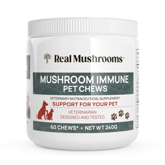 Mushroom Immune Support Pet Chews (60ct) treats for dogs – Immune booster supplements for pets with Ashwagandha, Astragalus, Blueberry, Olive Leaf, Acerola &Gut Health for Dogs and Cats