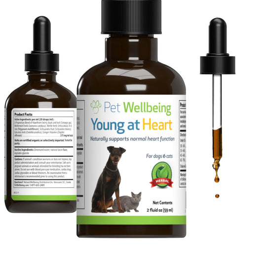 Pet Wellbeing Young at Heart for Dogs - Vet-Formulated - Supports Cardiovascular System | Heart & Circulatory Health - Natural Herbal Supplement 2 oz (59 ml)