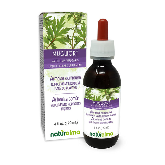 Naturalma Mugwort (Artemisia vulgaris) herb with flowers Alcohol-free Tincture - 4 fl oz Liquid extract in drops - Herbal supplement - Vegan