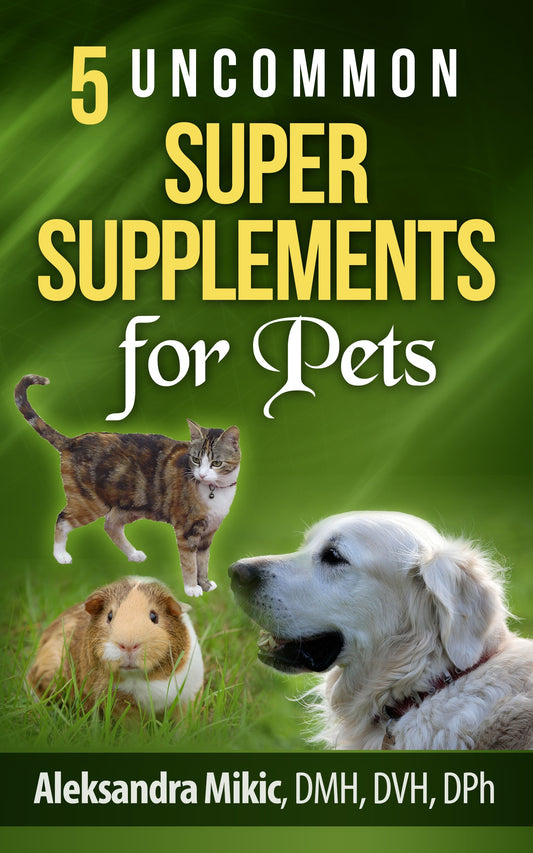 5 Uncommon Super Supplements for Pets